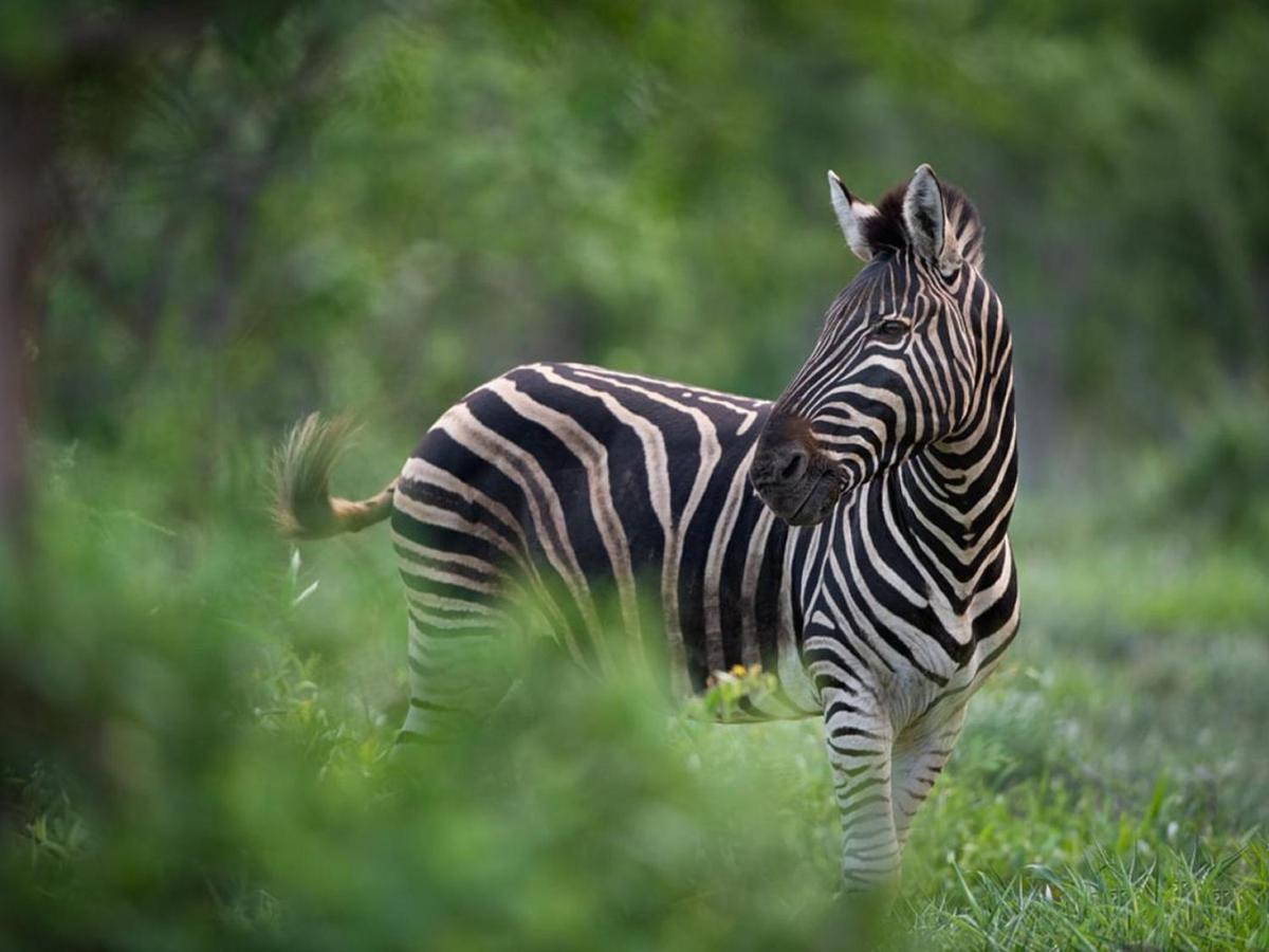 Ujabule Lodge Hoedspruit Ngoại thất bức ảnh